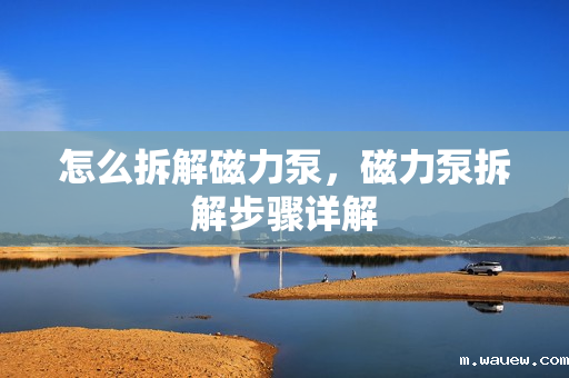 怎么拆解磁力泵,磁力泵拆解步骤详解 怎么拆解磁力泵,磁力泵拆解步骤详解