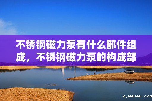 不锈钢磁力泵有什么部件组成,不锈钢磁力泵的构成部件详解 不锈钢磁力泵有什么部件组成,不锈钢磁力泵的构成部件详解