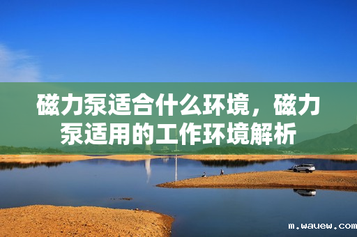 磁力泵适合什么环境,磁力泵适用的工作环境解析 磁力泵适合什么环境,磁力泵适用的工作环境解析