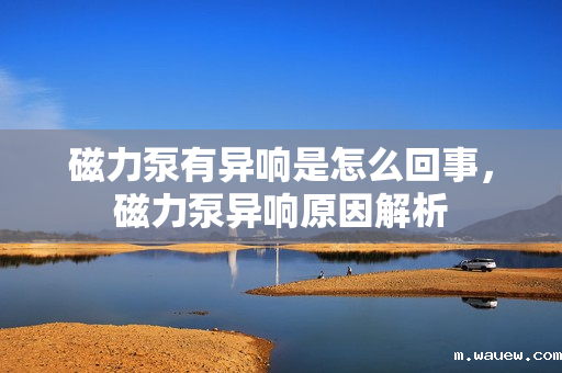 磁力泵有异响是怎么回事,磁力泵异响原因解析 磁力泵有异响是怎么回事,磁力泵异响原因解析