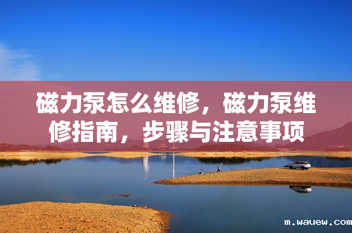 磁力泵怎么维修,磁力泵维修指南,步骤与注意事项 磁力泵怎么维修,磁力泵维修指南,步骤与注意事项