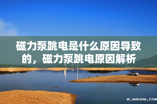 磁力泵跳电是什么原因导致的,磁力泵跳电原因解析 磁力泵跳电是什么原因导致的,磁力泵跳电原因解析