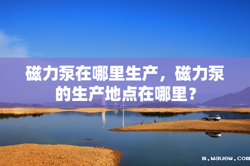 磁力泵在哪里生产,磁力泵的生产地点在哪里? 磁力泵在哪里生产,磁力泵的生产地点在哪里?