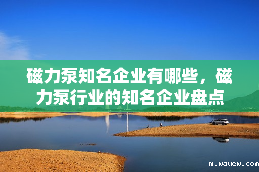磁力泵知名企业有哪些,磁力泵行业的知名企业盘点 磁力泵知名企业有哪些,磁力泵行业的知名企业盘点