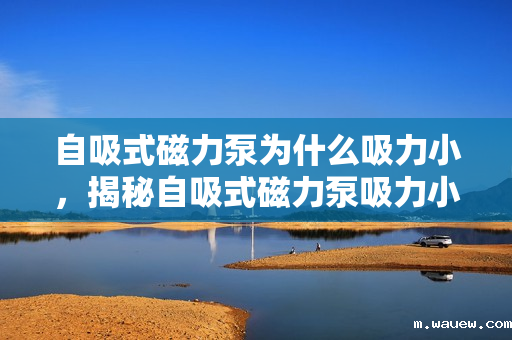 自吸式磁力泵为什么吸力小,揭秘自吸式磁力泵吸力小的原因 自吸式磁力泵为什么吸力小,揭秘自吸式磁力泵吸力小的原因