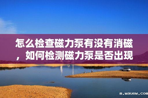 怎么检查磁力泵有没有消磁,如何检测磁力泵是否出现消磁情况 怎么检查磁力泵有没有消磁,如何检测磁力泵是否出现消磁情况