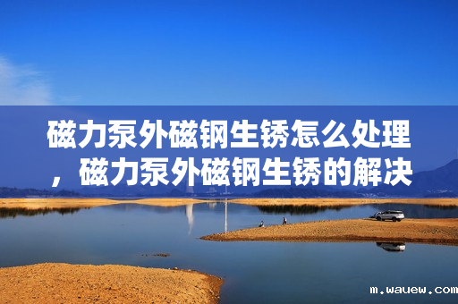 磁力泵外磁钢生锈怎么处理,磁力泵外磁钢生锈的解决方法 磁力泵外磁钢生锈怎么处理,磁力泵外磁钢生锈的解决方法