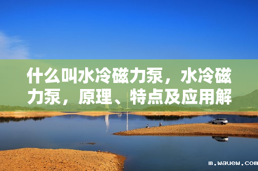 什么叫水冷磁力泵,水冷磁力泵,原理、特点及应用解析 什么叫水冷磁力泵,水冷磁力泵,原理、特点及应用解析