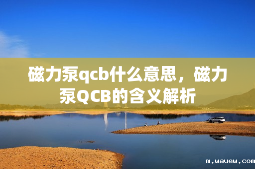 磁力泵qcb什么意思,磁力泵QCB的含义解析 磁力泵qcb什么意思,磁力泵QCB的含义解析