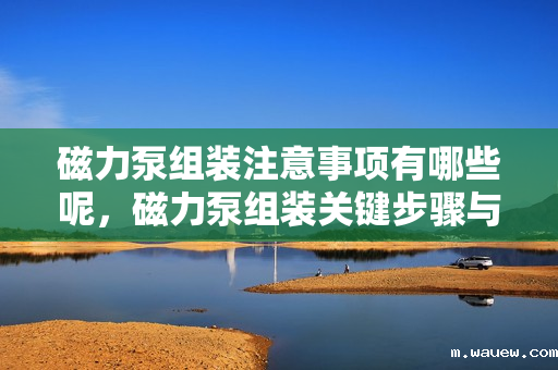磁力泵组装注意事项有哪些呢,磁力泵组装关键步骤与注意事项 磁力泵组装注意事项有哪些呢,磁力泵组装关键步骤与注意事项