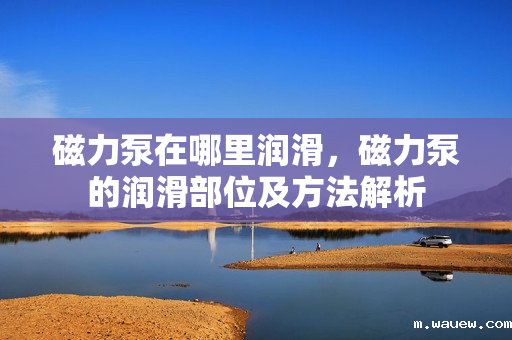 磁力泵在哪里润滑,磁力泵的润滑部位及方法解析 磁力泵在哪里润滑,磁力泵的润滑部位及方法解析