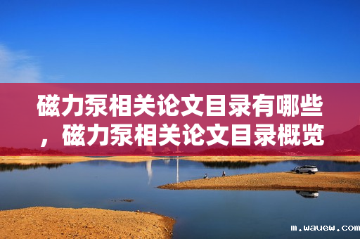 磁力泵相关论文目录有哪些,磁力泵相关论文目录概览 磁力泵相关论文目录有哪些,磁力泵相关论文目录概览