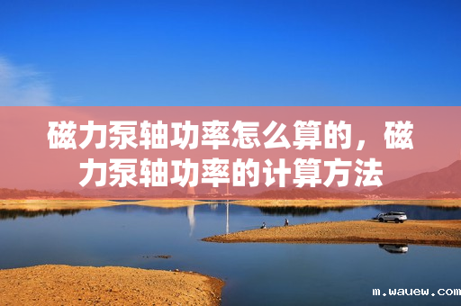 磁力泵轴功率怎么算的,磁力泵轴功率的计算方法 磁力泵轴功率怎么算的,磁力泵轴功率的计算方法