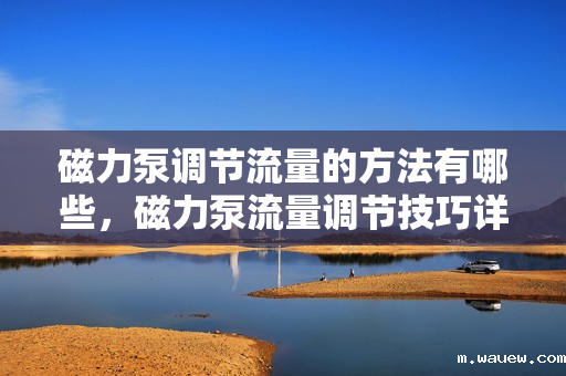 磁力泵调节流量的方法有哪些,磁力泵流量调节技巧详解 磁力泵调节流量的方法有哪些,磁力泵流量调节技巧详解