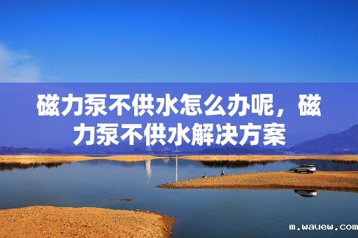 磁力泵不供水怎么办呢,磁力泵不供水解决方案 磁力泵不供水怎么办呢,磁力泵不供水解决方案