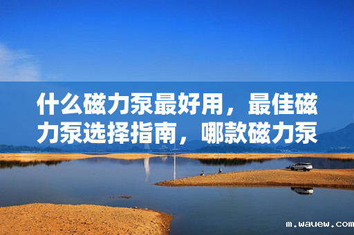 什么磁力泵最好用,最佳磁力泵选择指南,哪款磁力泵最好用? 什么磁力泵最好用,最佳磁力泵选择指南,哪款磁力泵最好用?