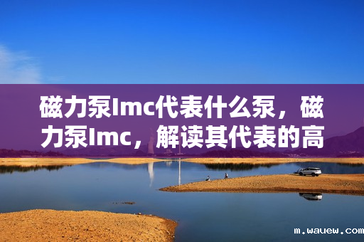 磁力泵Imc代表什么泵,磁力泵Imc,解读其代表的高效、无泄漏磁力驱动泵技术 磁力泵Imc代表什么泵,磁力泵Imc,解读其代表的高效、无泄漏磁力驱动泵技术