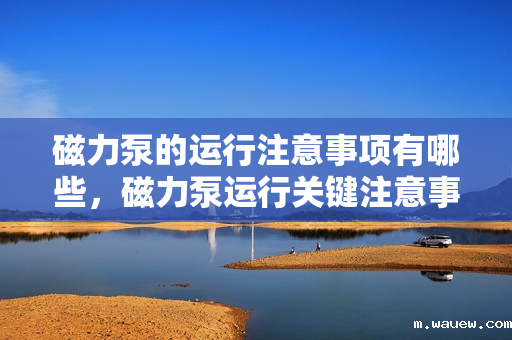 磁力泵的运行注意事项有哪些,磁力泵运行关键注意事项解析 磁力泵的运行注意事项有哪些,磁力泵运行关键注意事项解析