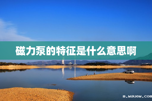 磁力泵的特征是什么意思啊 磁力泵的特征是什么意思啊