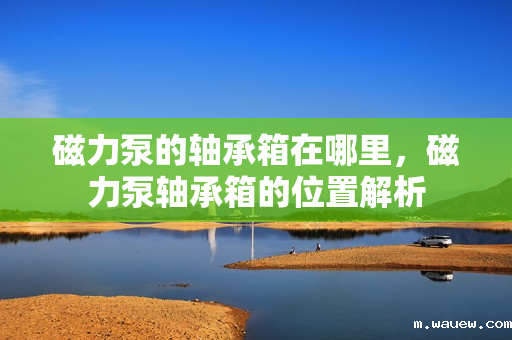 磁力泵的轴承箱在哪里,磁力泵轴承箱的位置解析 磁力泵的轴承箱在哪里,磁力泵轴承箱的位置解析