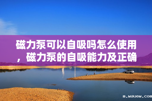 磁力泵可以自吸吗怎么使用,磁力泵的自吸能力及正确使用方法解析 磁力泵可以自吸吗怎么使用,磁力泵的自吸能力及正确使用方法解析