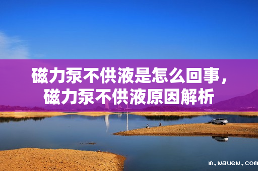 磁力泵不供液是怎么回事,磁力泵不供液原因解析 磁力泵不供液是怎么回事,磁力泵不供液原因解析