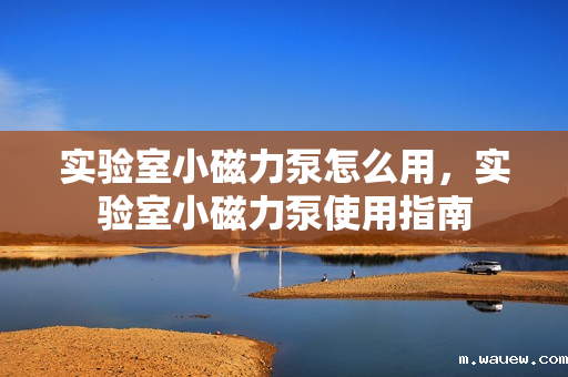 实验室小磁力泵怎么用,实验室小磁力泵使用指南 实验室小磁力泵怎么用,实验室小磁力泵使用指南