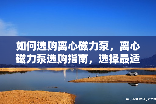 如何选购离心磁力泵,离心磁力泵选购指南,选择最适合您的泵型 如何选购离心磁力泵,离心磁力泵选购指南,选择最适合您的泵型