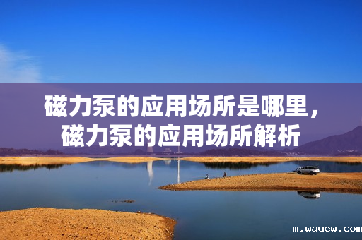 磁力泵的应用场所是哪里,磁力泵的应用场所解析 磁力泵的应用场所是哪里,磁力泵的应用场所解析