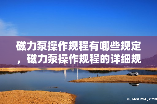 磁力泵操作规程有哪些规定,磁力泵操作规程的详细规定 磁力泵操作规程有哪些规定,磁力泵操作规程的详细规定