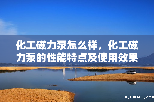 化工磁力泵怎么样,化工磁力泵的性能特点及使用效果评析 化工磁力泵怎么样,化工磁力泵的性能特点及使用效果评析