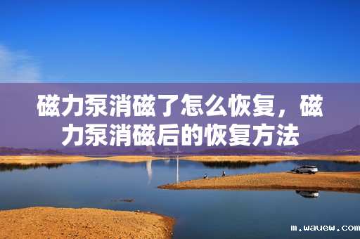 磁力泵消磁了怎么恢复,磁力泵消磁后的恢复方法 磁力泵消磁了怎么恢复,磁力泵消磁后的恢复方法