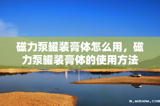 磁力泵罐装膏体怎么用,磁力泵罐装膏体的使用方法 磁力泵罐装膏体怎么用,磁力泵罐装膏体的使用方法