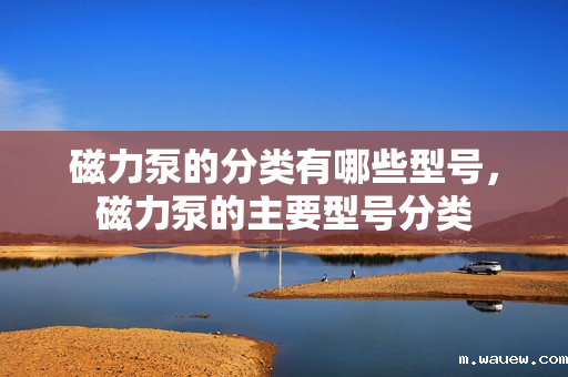 磁力泵的分类有哪些型号,磁力泵的主要型号分类 磁力泵的分类有哪些型号,磁力泵的主要型号分类