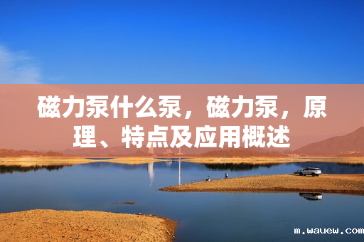 磁力泵什么泵,磁力泵,原理、特点及应用概述 磁力泵什么泵,磁力泵,原理、特点及应用概述