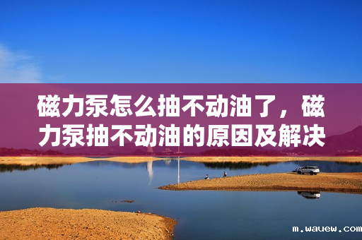 磁力泵怎么抽不动油了,磁力泵抽不动油的原因及解决方法 磁力泵怎么抽不动油了,磁力泵抽不动油的原因及解决方法