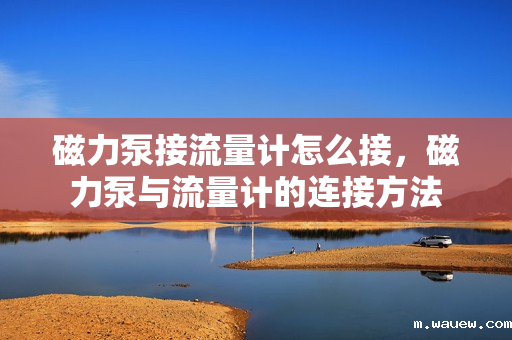 磁力泵接流量计怎么接,磁力泵与流量计的连接方法 磁力泵接流量计怎么接,磁力泵与流量计的连接方法