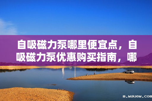 自吸磁力泵哪里便宜点,自吸磁力泵优惠购买指南,哪里能找到更便宜的价格? 自吸磁力泵哪里便宜点,自吸磁力泵优惠购买指南,哪里能找到更便宜的价格?