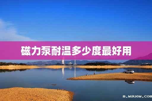 磁力泵耐温多少度最好用 磁力泵耐温多少度最好用