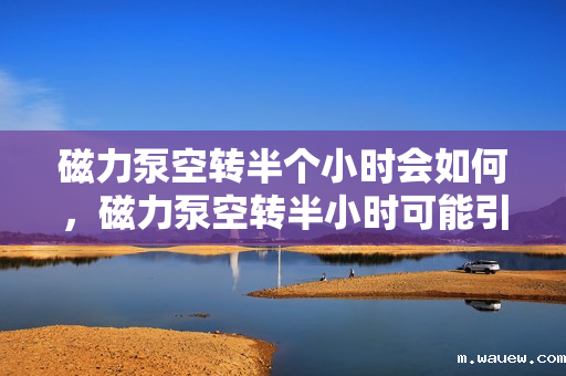 磁力泵空转半个小时会如何,磁力泵空转半小时可能引发的后果 磁力泵空转半个小时会如何,磁力泵空转半小时可能引发的后果