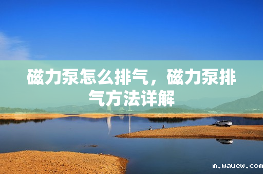 磁力泵怎么排气,磁力泵排气方法详解 磁力泵怎么排气,磁力泵排气方法详解