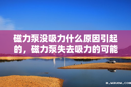 磁力泵没吸力什么原因引起的,磁力泵失去吸力的可能原因解析 磁力泵没吸力什么原因引起的,磁力泵失去吸力的可能原因解析