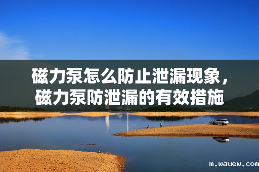 磁力泵怎么防止泄漏现象,磁力泵防泄漏的有效措施 磁力泵怎么防止泄漏现象,磁力泵防泄漏的有效措施