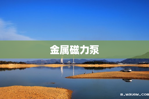 金属磁力泵 金属磁力泵