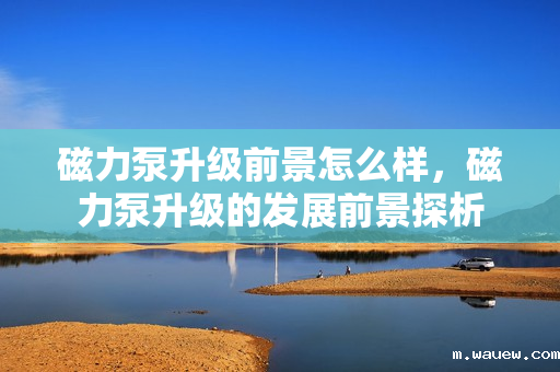 磁力泵升级前景怎么样,磁力泵升级的发展前景探析 磁力泵升级前景怎么样,磁力泵升级的发展前景探析