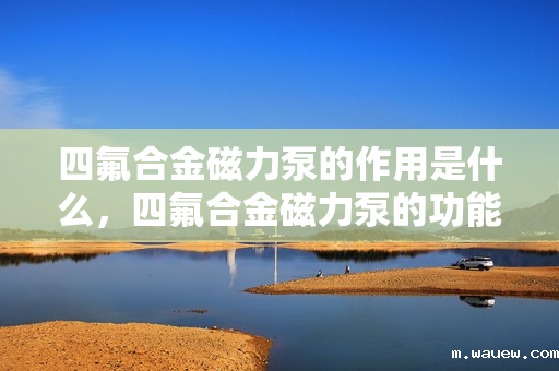 四氟合金磁力泵的作用是什么,四氟合金磁力泵的功能及作用解析 四氟合金磁力泵的作用是什么,四氟合金磁力泵的功能及作用解析