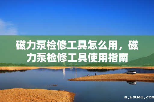 磁力泵检修工具怎么用,磁力泵检修工具使用指南 磁力泵检修工具怎么用,磁力泵检修工具使用指南