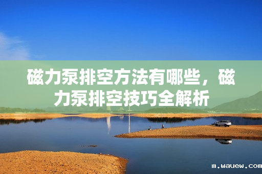 磁力泵排空方法有哪些,磁力泵排空技巧全解析 磁力泵排空方法有哪些,磁力泵排空技巧全解析