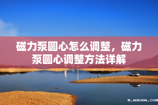 磁力泵圆心怎么调整,磁力泵圆心调整方法详解 磁力泵圆心怎么调整,磁力泵圆心调整方法详解