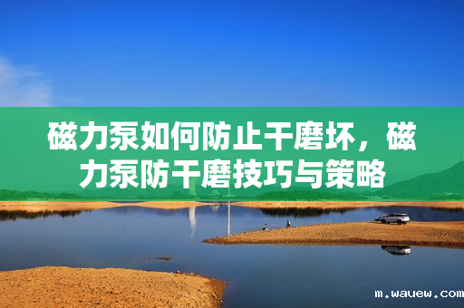 磁力泵如何防止干磨坏,磁力泵防干磨技巧与策略 磁力泵如何防止干磨坏,磁力泵防干磨技巧与策略